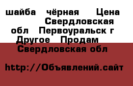 шайба  (чёрная ) › Цена ­ 1 000 - Свердловская обл., Первоуральск г. Другое » Продам   . Свердловская обл.